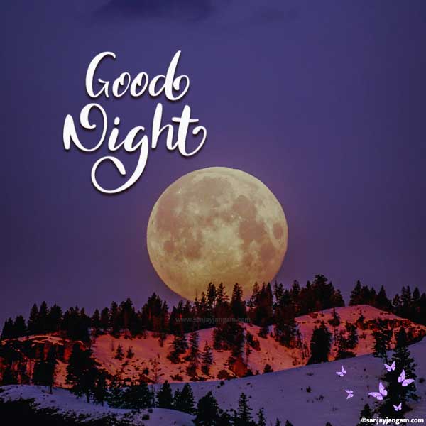 Good night, seamless vector pattern with star, moon. tree. cartoon posters  for the wall • posters yellow, advertise, actual | myloview.com