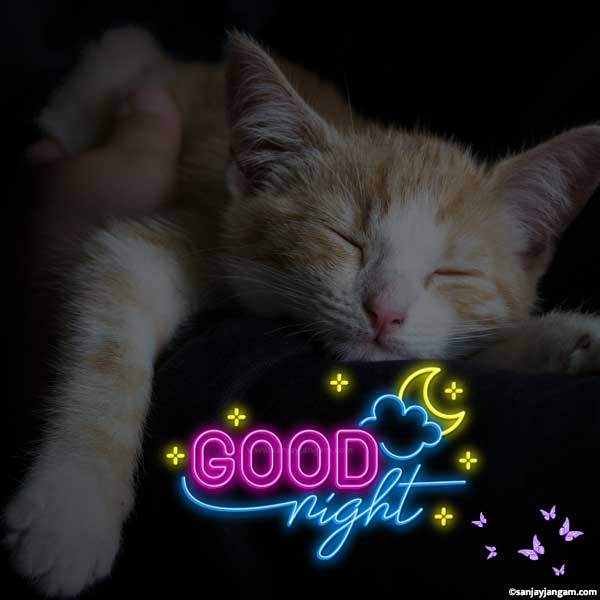 free good night images