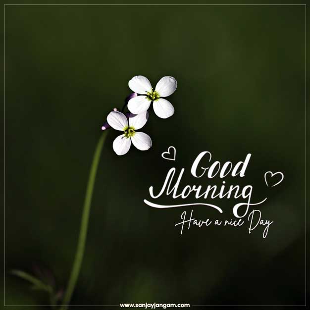 Good Morning Wishes Wallpapers - Wallpaper Cave