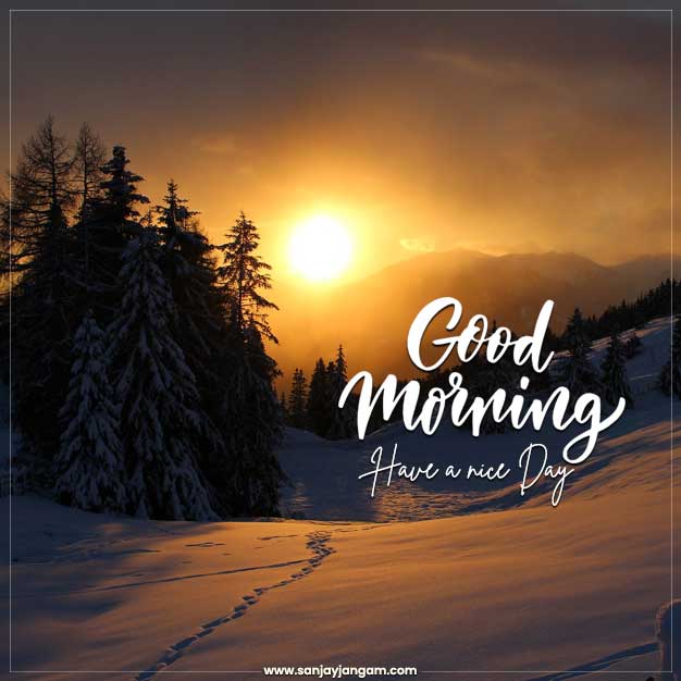Good Morning Images | 3500+ Good Morning Pic | HeloPlus