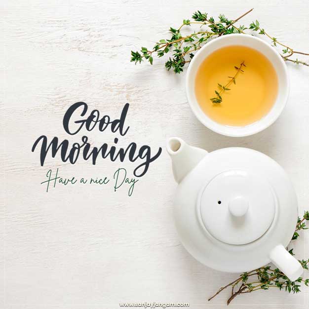 morning greetings images