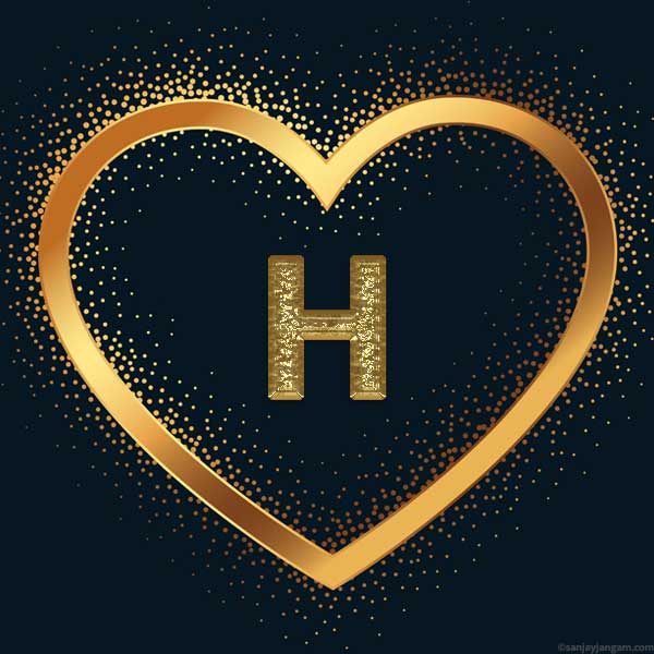 stylish h letter dp