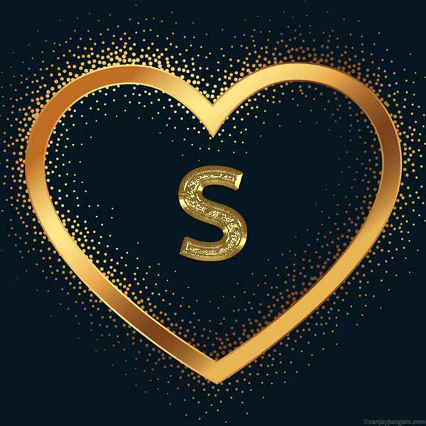 stylish s letter dp