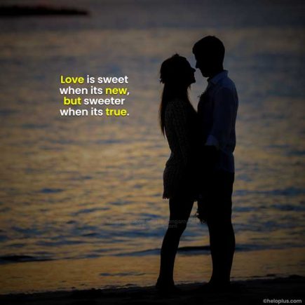 Love Quotes in English | 3600+ Love Status in English | Love Captions