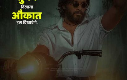 attitude status in hindi