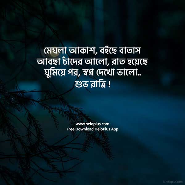 bengali good night quotes