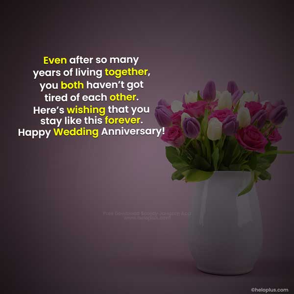 bhaiya bhabhi anniversary wishes in english