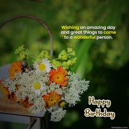 Birthday Wishes in English | 1000+ Birthday Status in English | HeloPlus