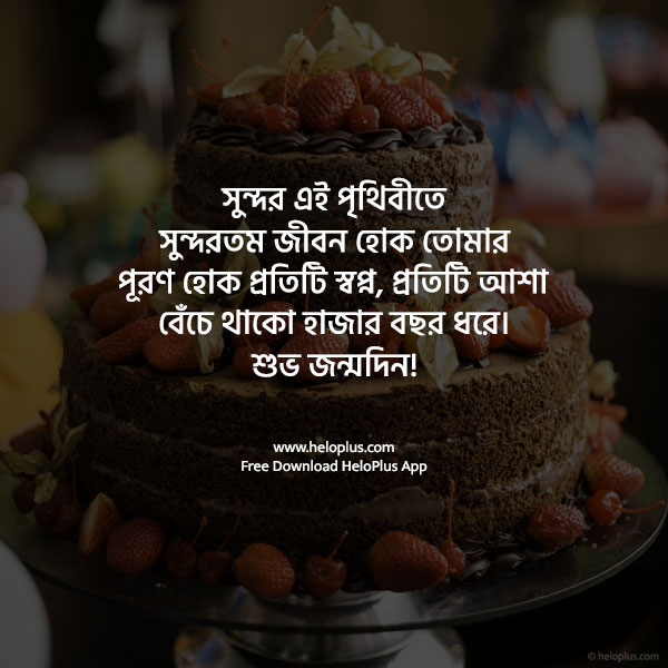 birthday wishes for wife in bengali