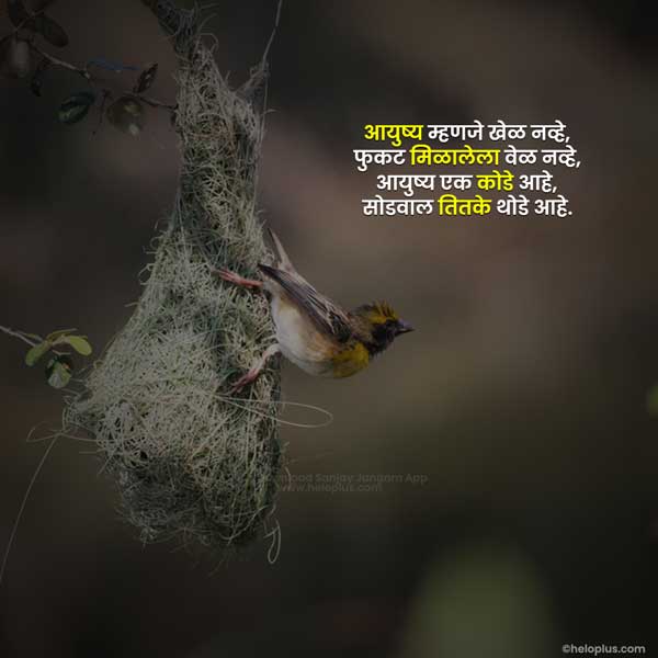 deep meaning reality marathi quotes on life