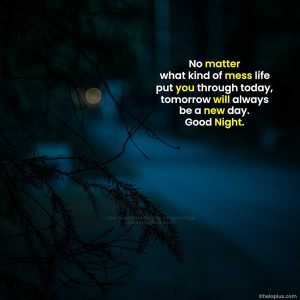 Good Night Quotes in English 1500+ Good Night Wishes in English