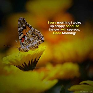 Good Morning Quotes in English | 4600+ Good Morning Wishes in English