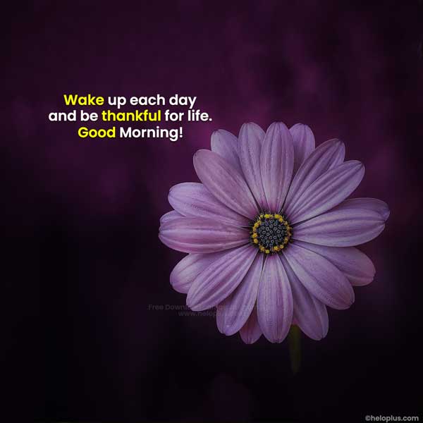 good morning images with positive words in english