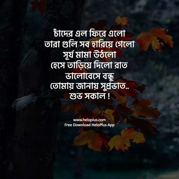good morning quotes bangla