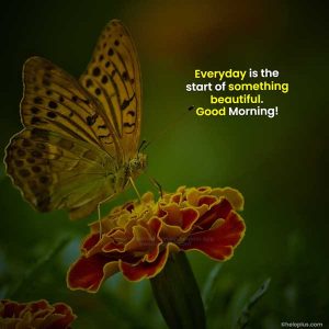 good morning quotes in english