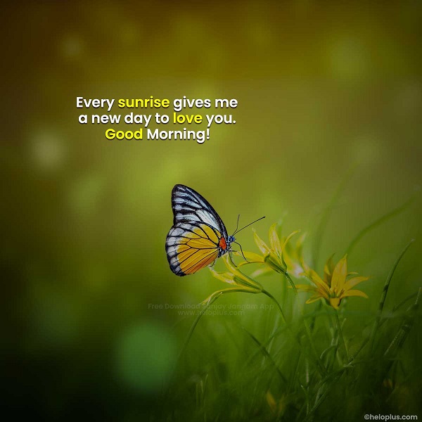 good morning quotes in english with images