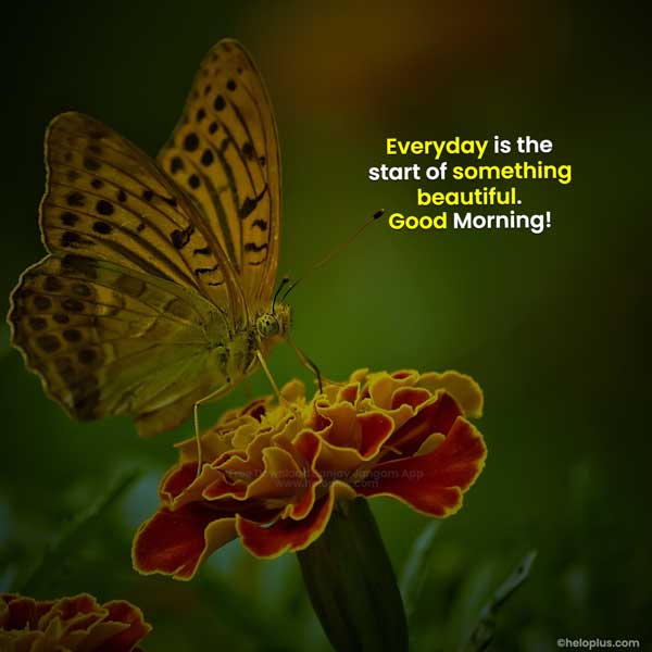 good morning quotes in english