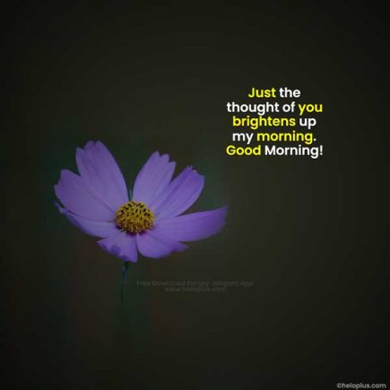 Good Morning Quotes in English 1500+ Good Morning Wishes in English