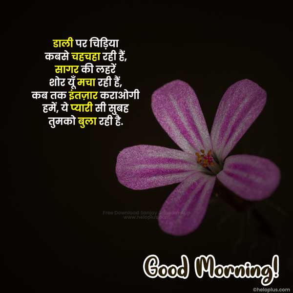 good morning wishes in hindi