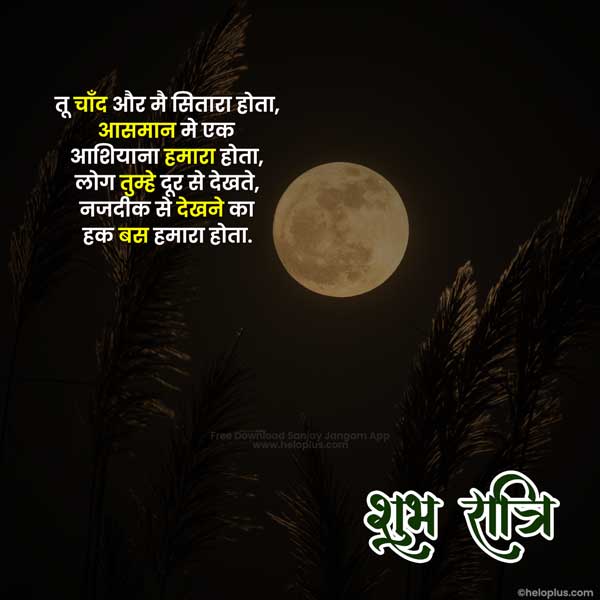 good night shayari for girlfriend in hindi