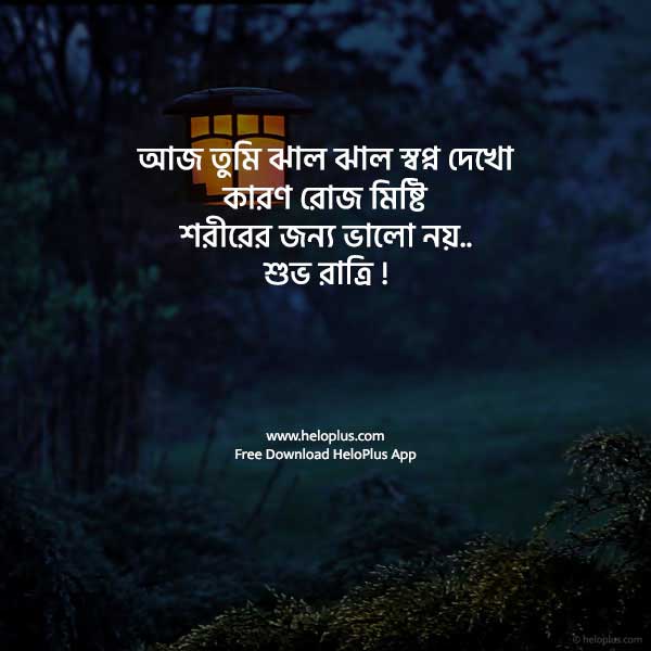 good night sms in bengali