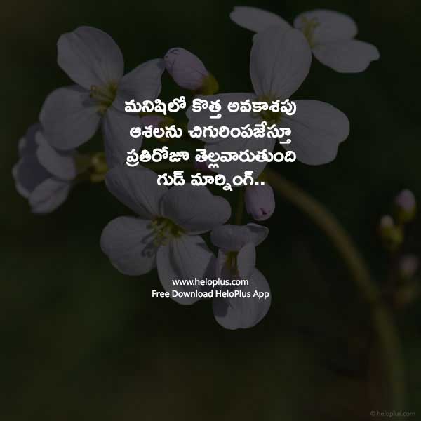 heart touching inspirational good morning quotes in telugu