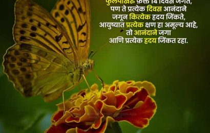 life status in marathi