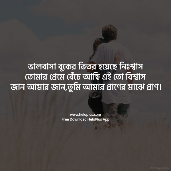 Bengali Love Quotes 4600 Love Quotes Bangla Heloplus