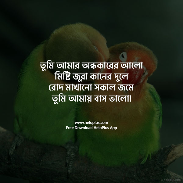 love status bangla