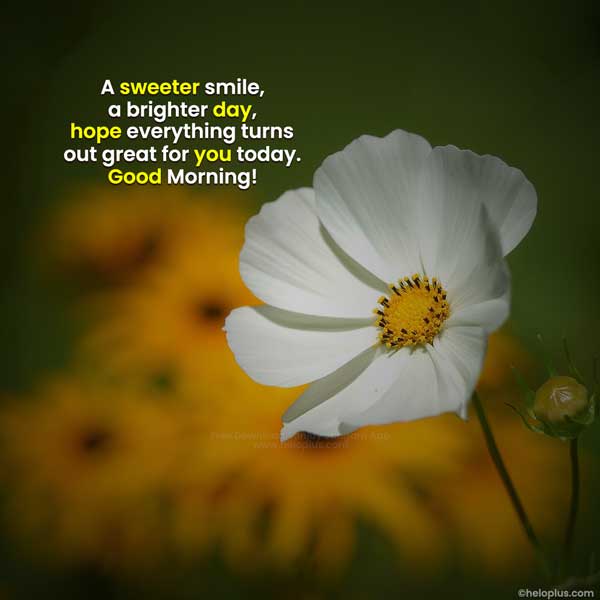 meaningful good morning quotes in english