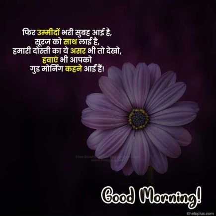 Good Morning Quotes in Hindi | 1500+ सुप्रभात सुविचार हिंदी में | HeloPlus