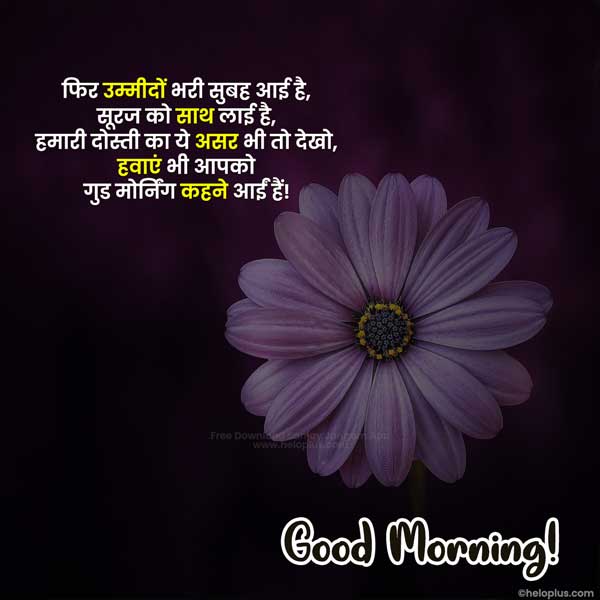 motivational success good morning quotes hindi