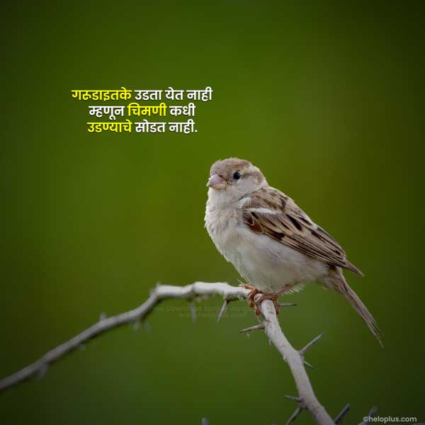 reality marathi quotes on life