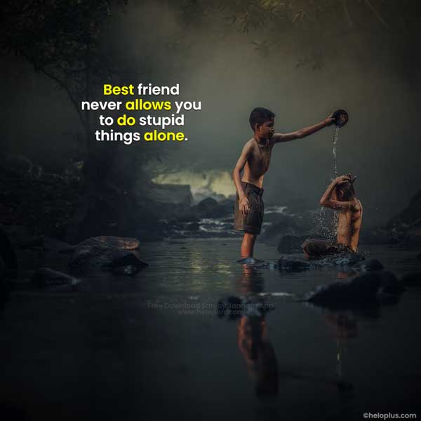 true friendship quotes in english